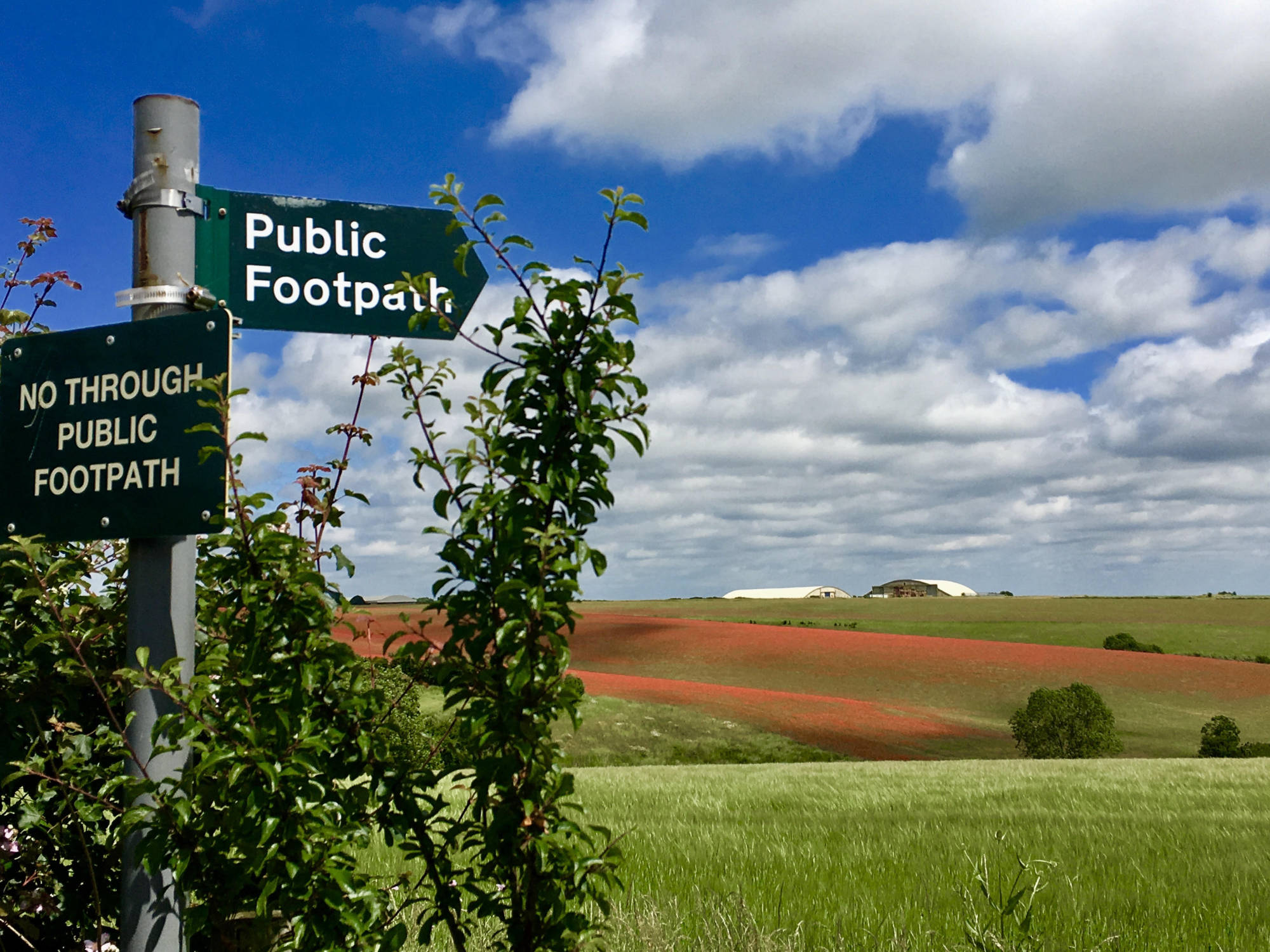 Poppy Fields, Amiradou Cotswolds | Amiradou Collection